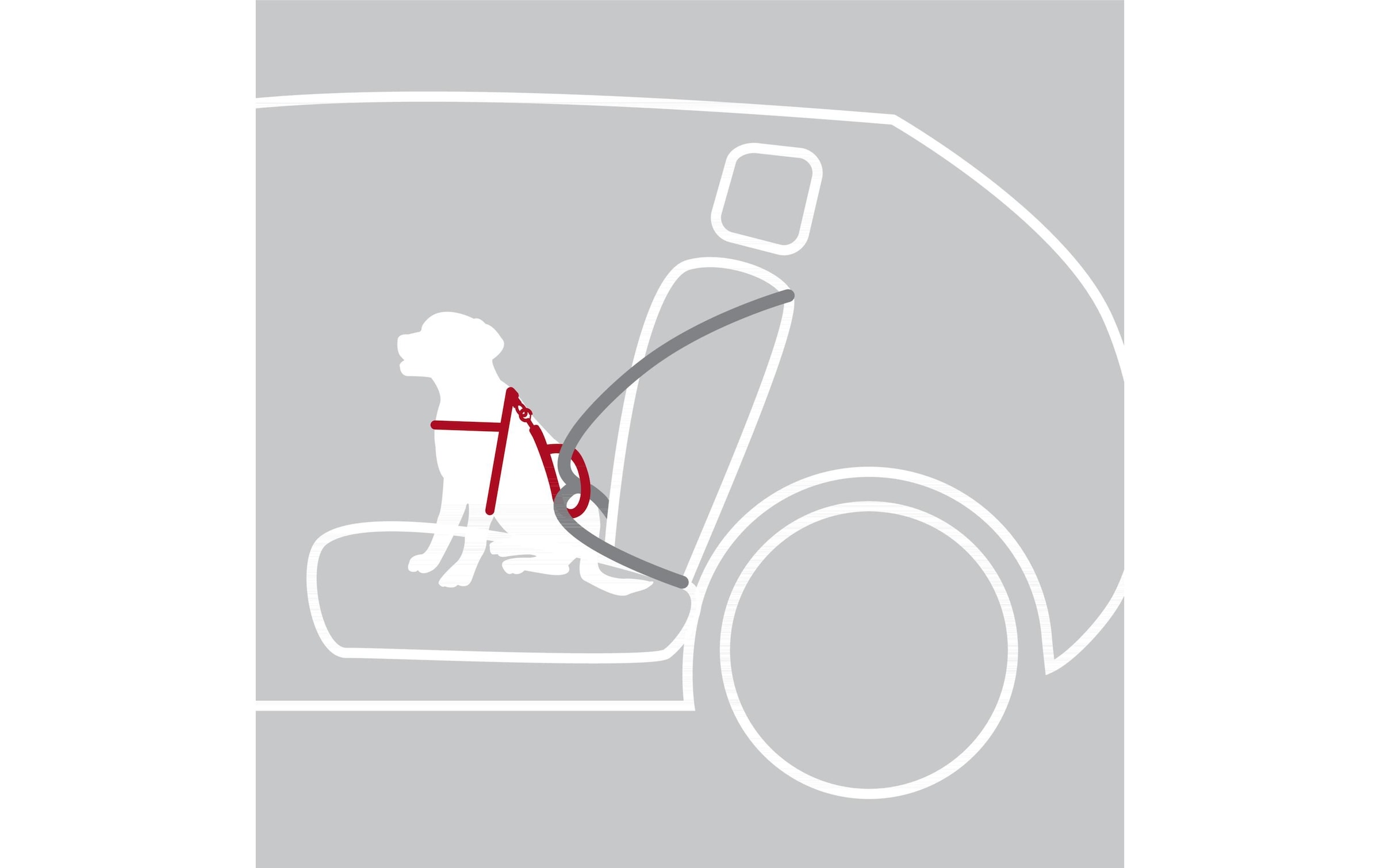 TRIXIE Hunde-Geschirr »Trixie Auto-Geschirr Dog Protect« Nylon