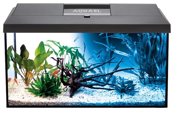 AQUAEL Aquarien-Set Leddy Day & Night 60 2.0,