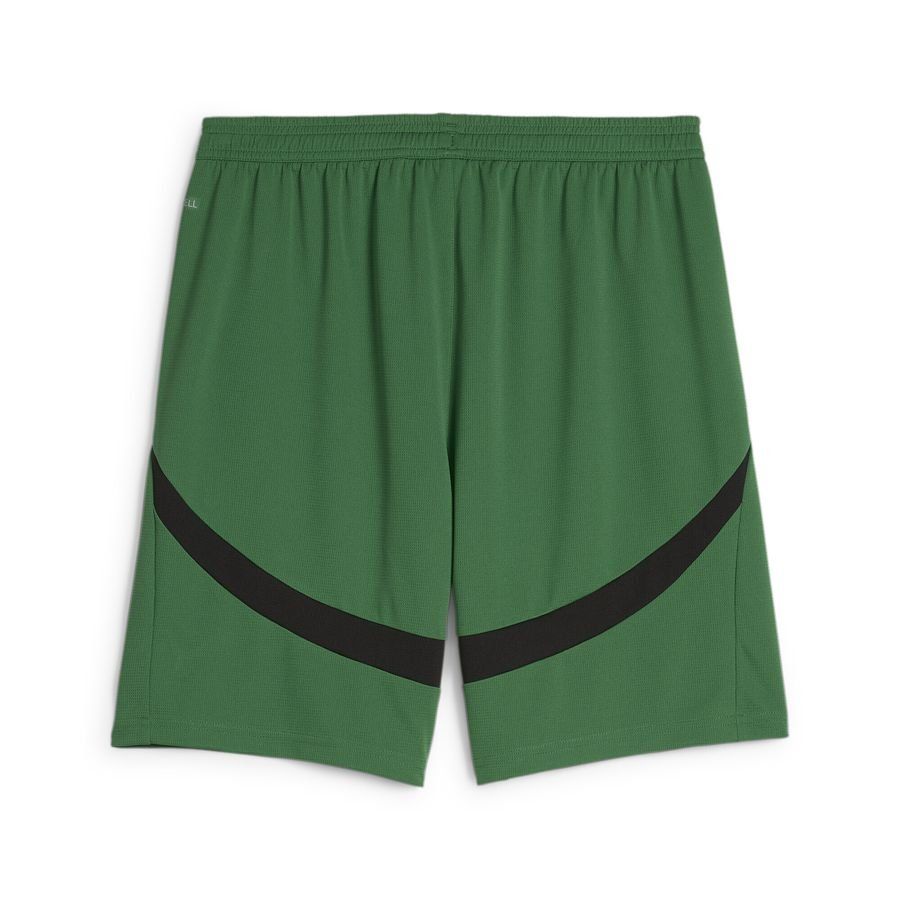 PUMA Borussia Mönchengladbach 2024/25 Short Extérieur - Vert Noir