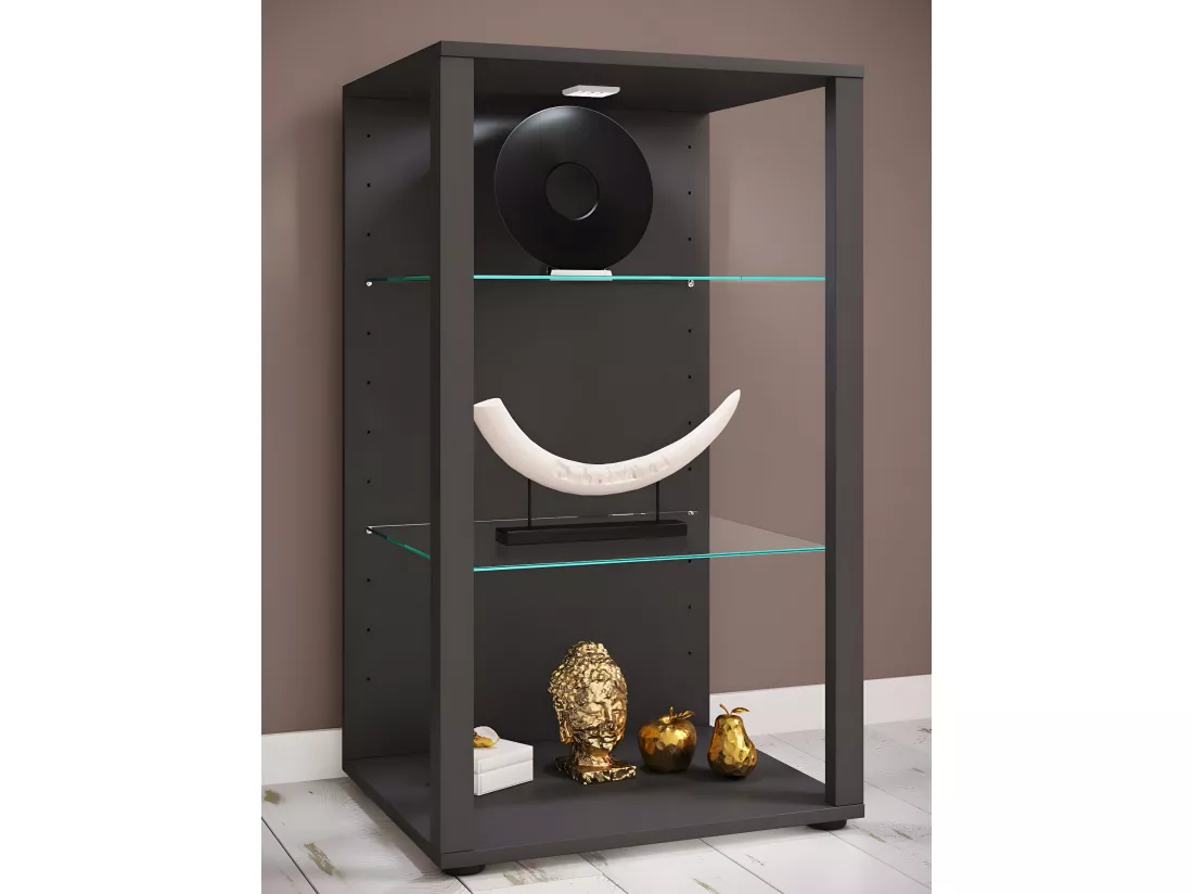 Bois Verre Vitrine Glasol XL
