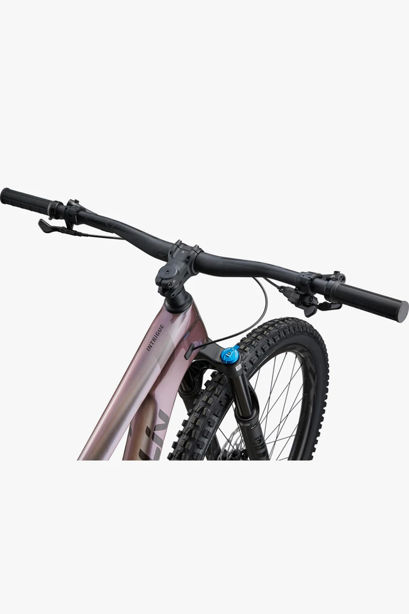Liv Intrigue Advanced Pro 29 2 Damen Mountainbike 2024