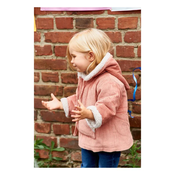 Frangin Frangine Sweat Capuche Velours Casimir | Rose
