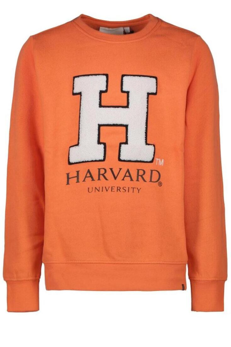 Cars oranje dames sweater
