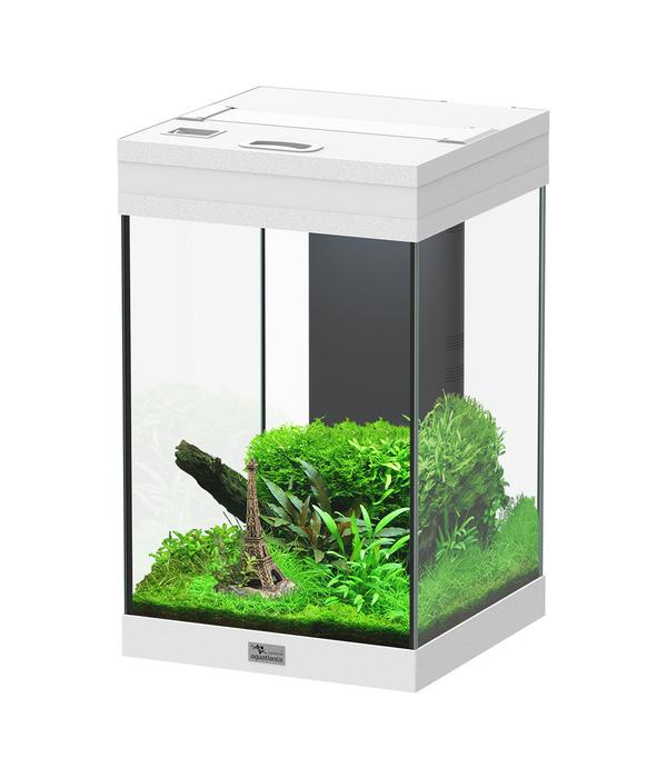 aquatlantis Aquarium Aqua Tower 43