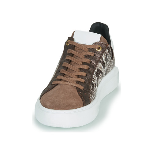 JB Martin - HIBISCUS - MIX PYTHON MARRON