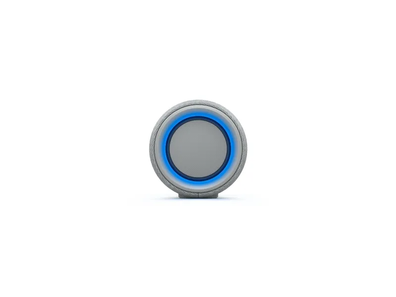 Sony SRS-XG300 - Højttaler - til transportabel brug - trådløs - Bluetooth - App-kontrolleret - 2-vejs - grå