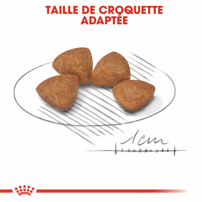 Croquettes Royal Canin X-SMALL Puppy Junior