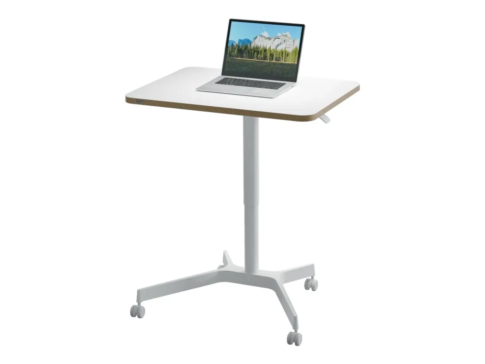 Leitz Ergo hæve-sænke skrivebord med hjul 60x80 cm hvid