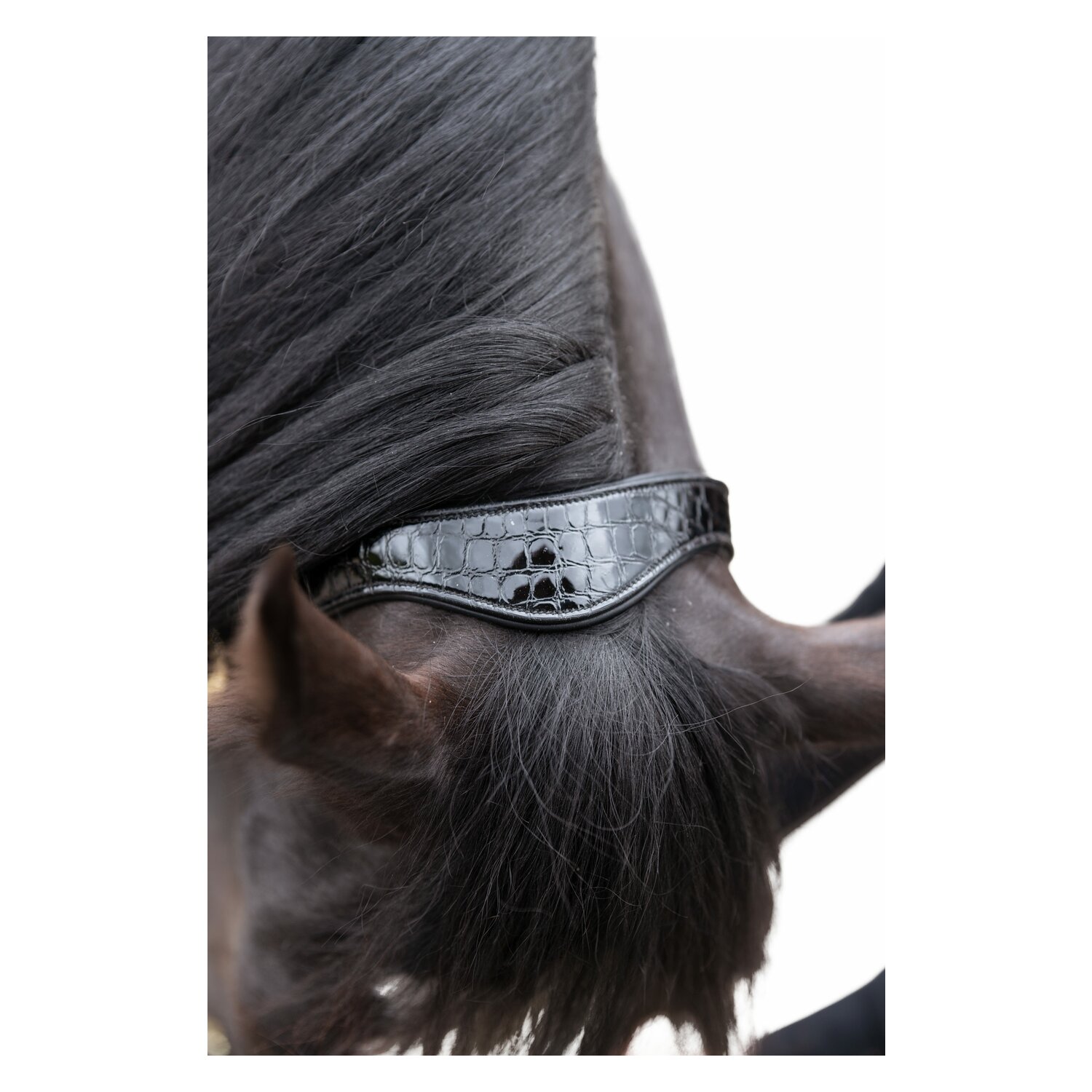 Cheval de Luxe Lederhalfter Limoges  - black/glossy