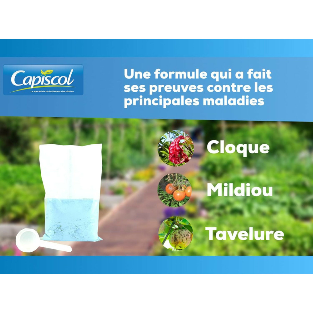 Bouillie bordelaise potager et verger | 300g de poudre | utilisable en