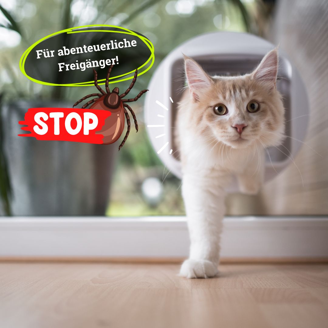 BeG Fellow Zecke weg