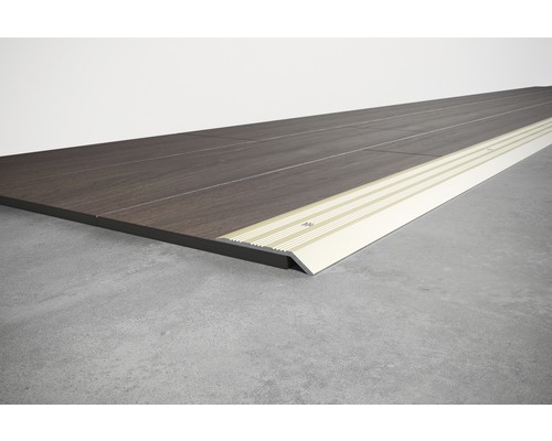 SKANDOR aanpassingsprofiel champagne geanodiseerd geperforeerd 5x29x900 mm