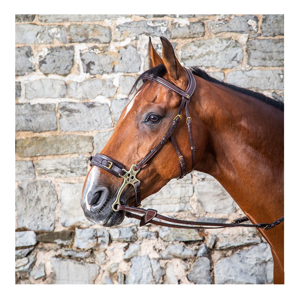 Dy'on D COLLECTION - Bridon Hackamore brun