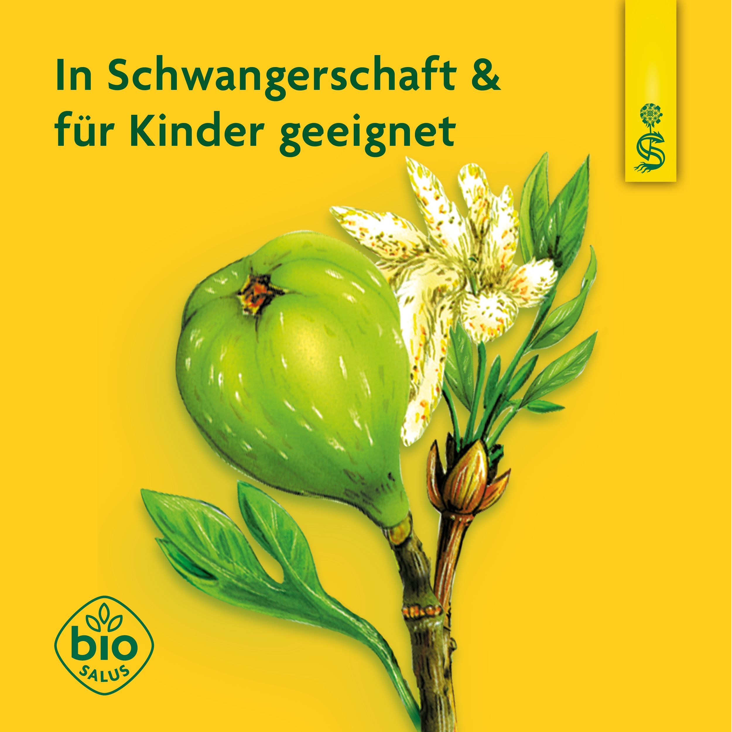 Schoenenberger® Manna-Feigen-Sirup