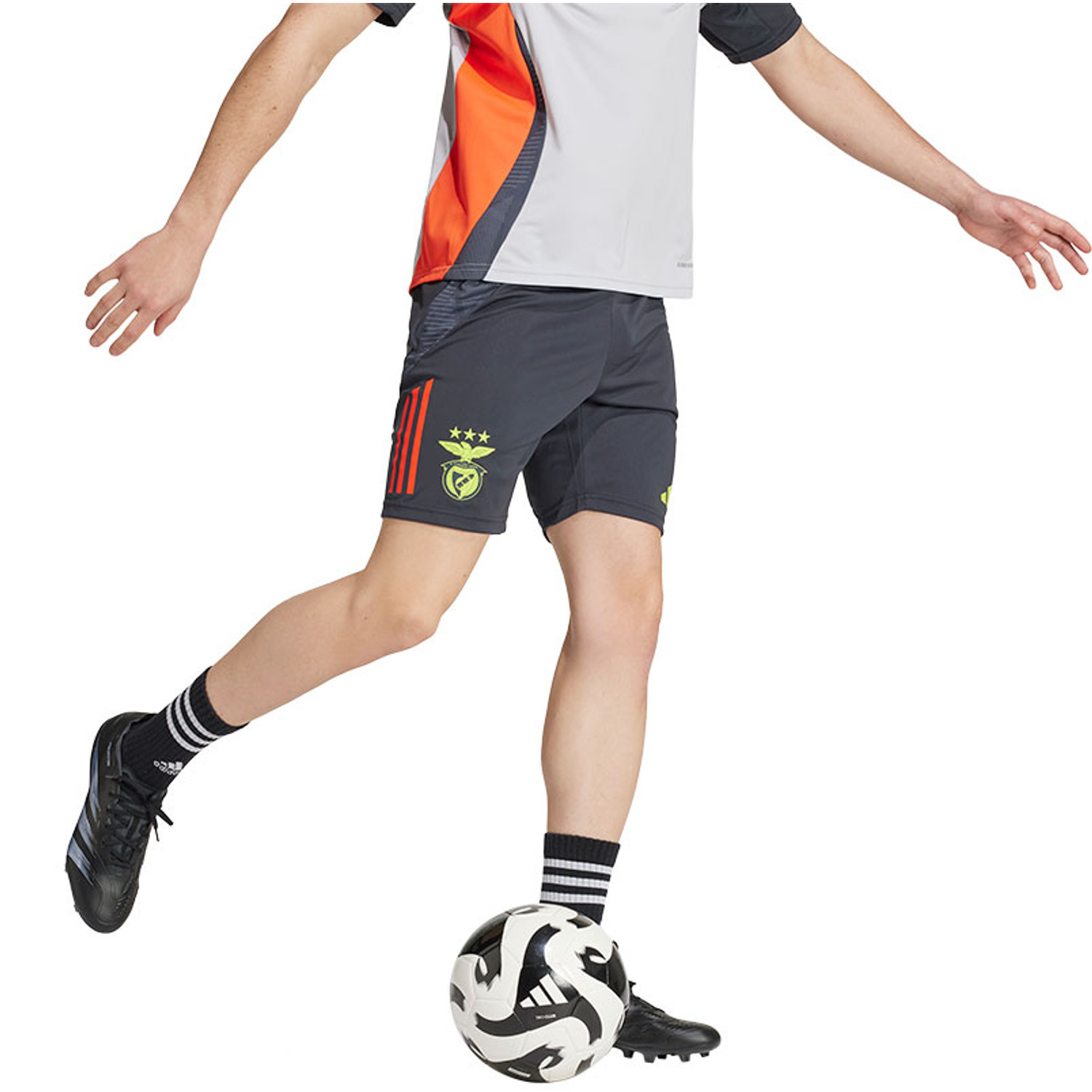 adidas SL Benfica Trainingsset