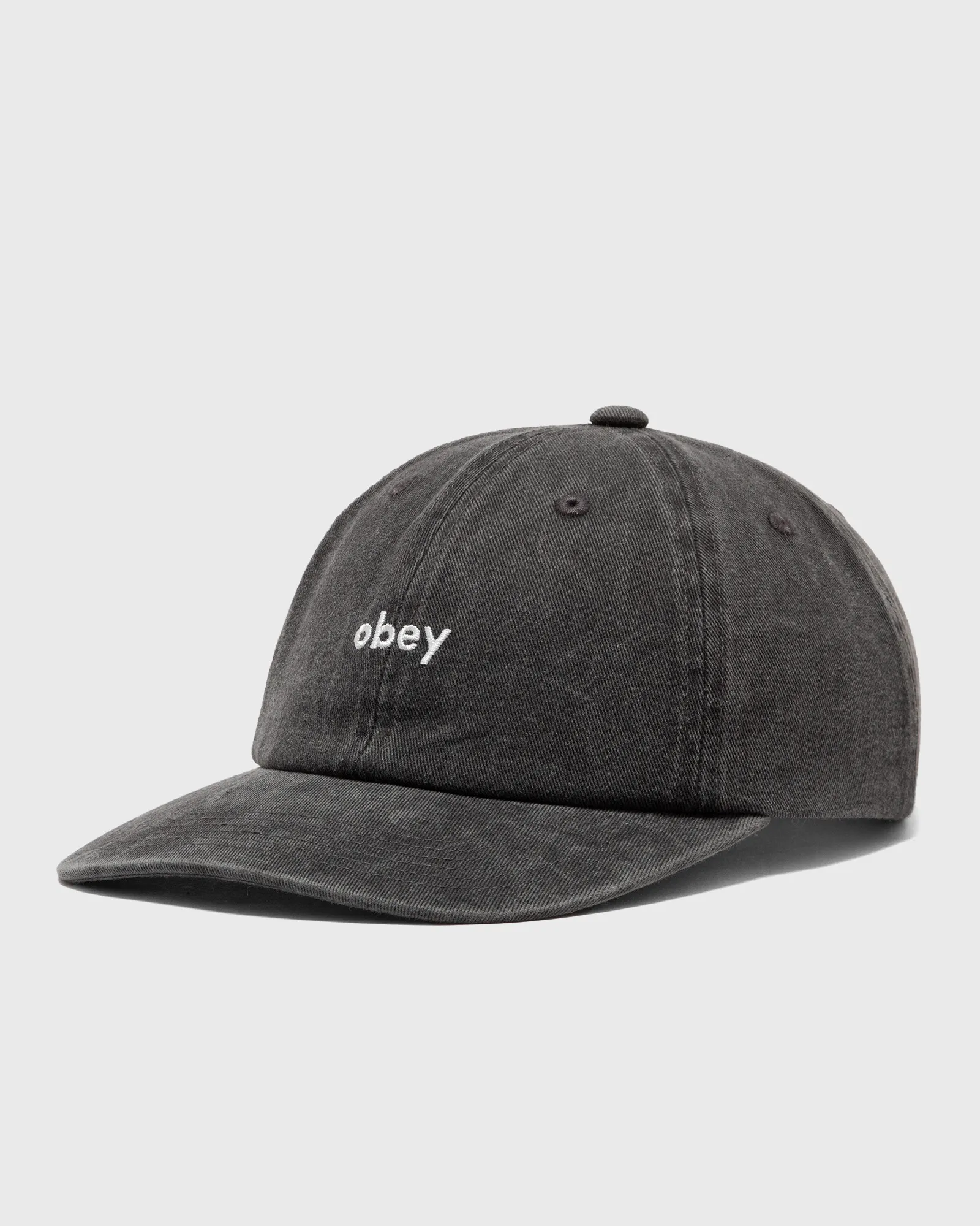 Obey Pigment lowercase 6 panel stra
