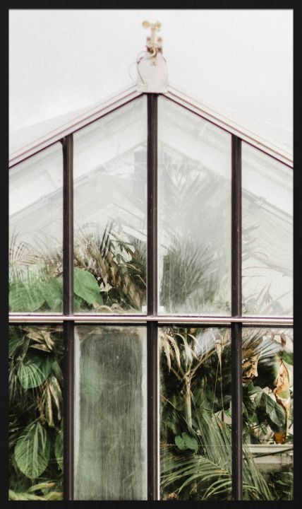 Schilderij Botanical Stories 012