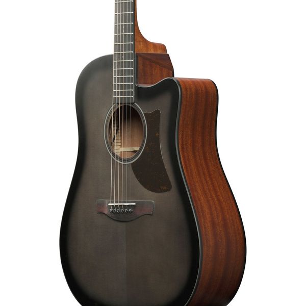 Ibanez AAD50CE-TCB
