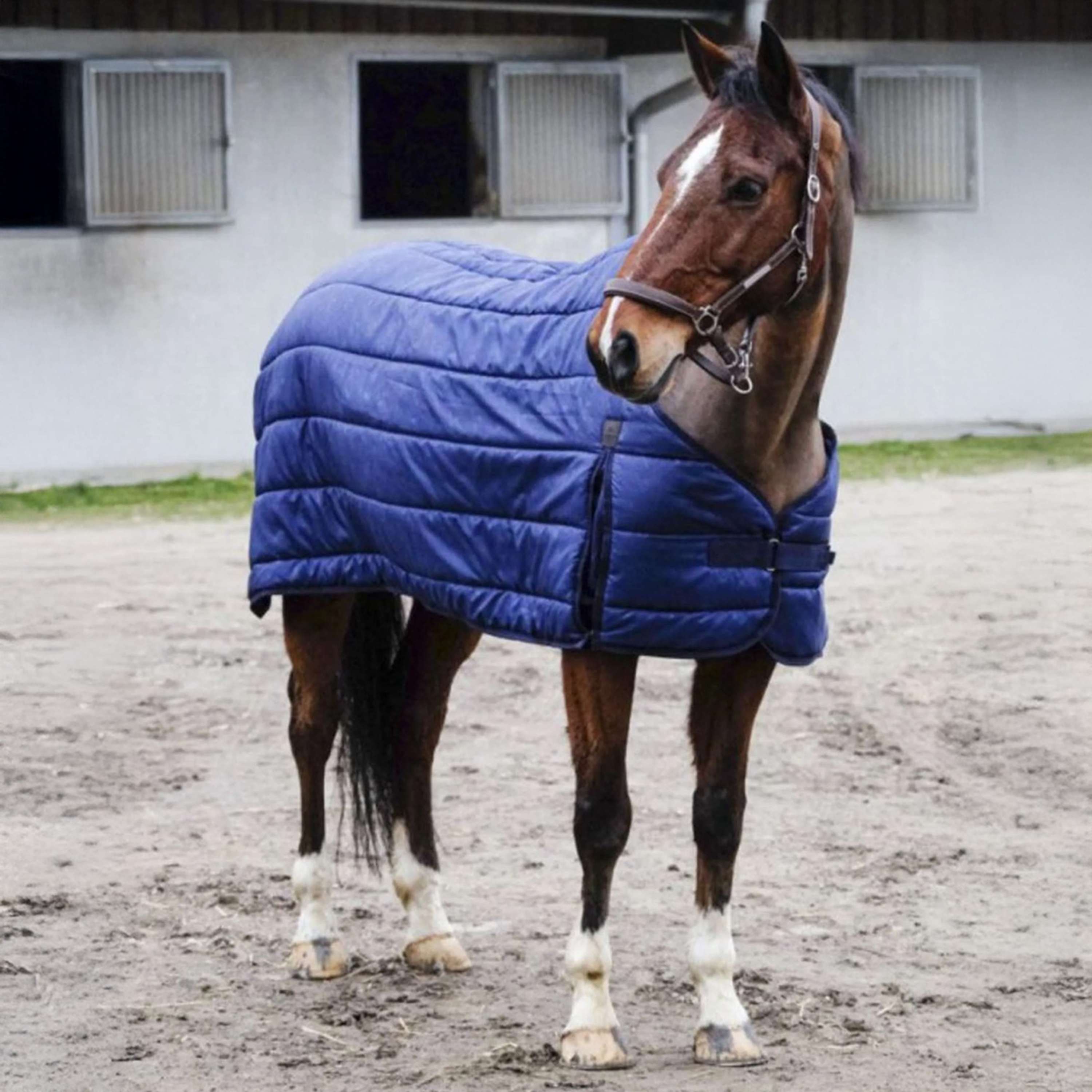 EQUITHÈME Onderdeken Classic 300g Navy
