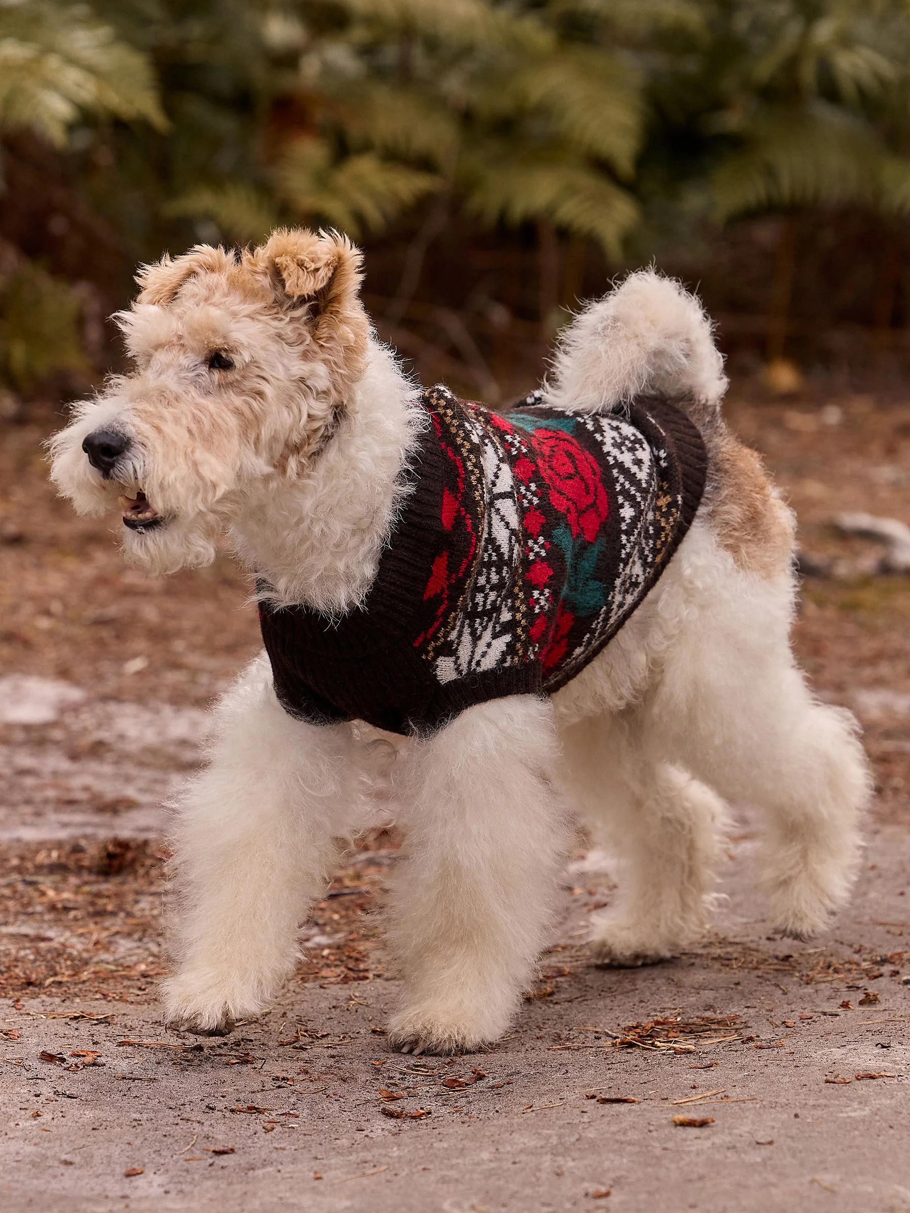 Chocoladebruin Fairisle - Knitted Dog Jumper With Wool