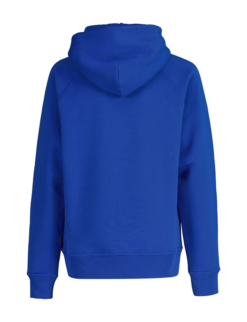 Blue Sweatshirt for Boys