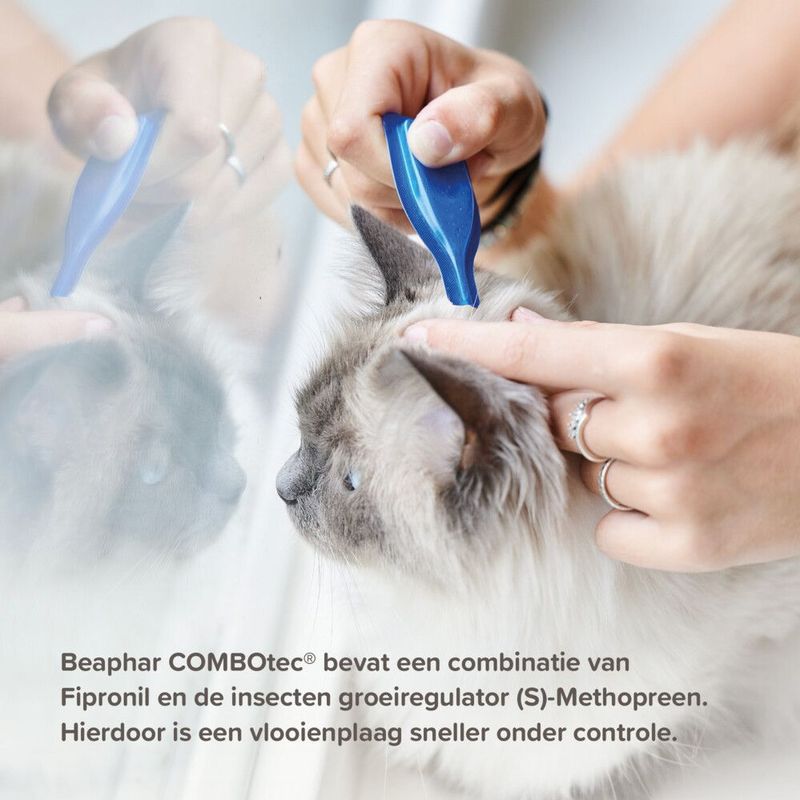 Beaphar - Combotec Anti Vlooien en Teken Druppels - 2 Pipetten - Voor Kat/Fret