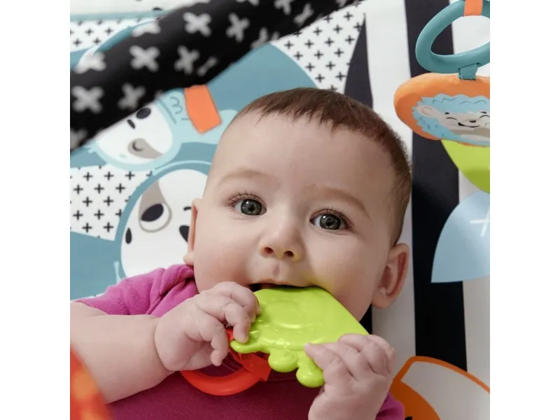 Fisher Price 3-in-1 Music Glow & Grow Gym