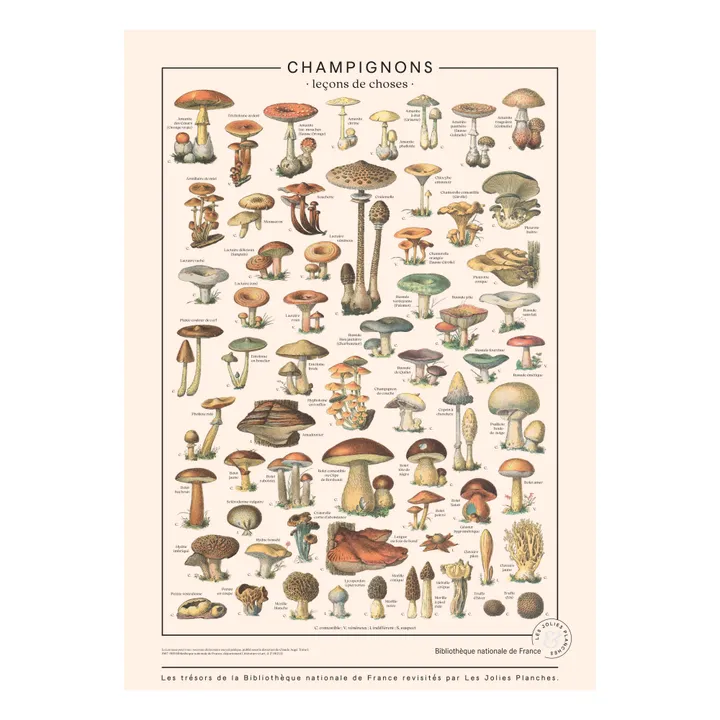 Les Jolies Planches Planche Champignons 50x70 cm