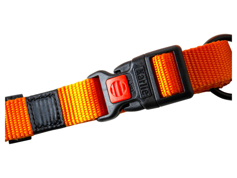 Halsband met lijn