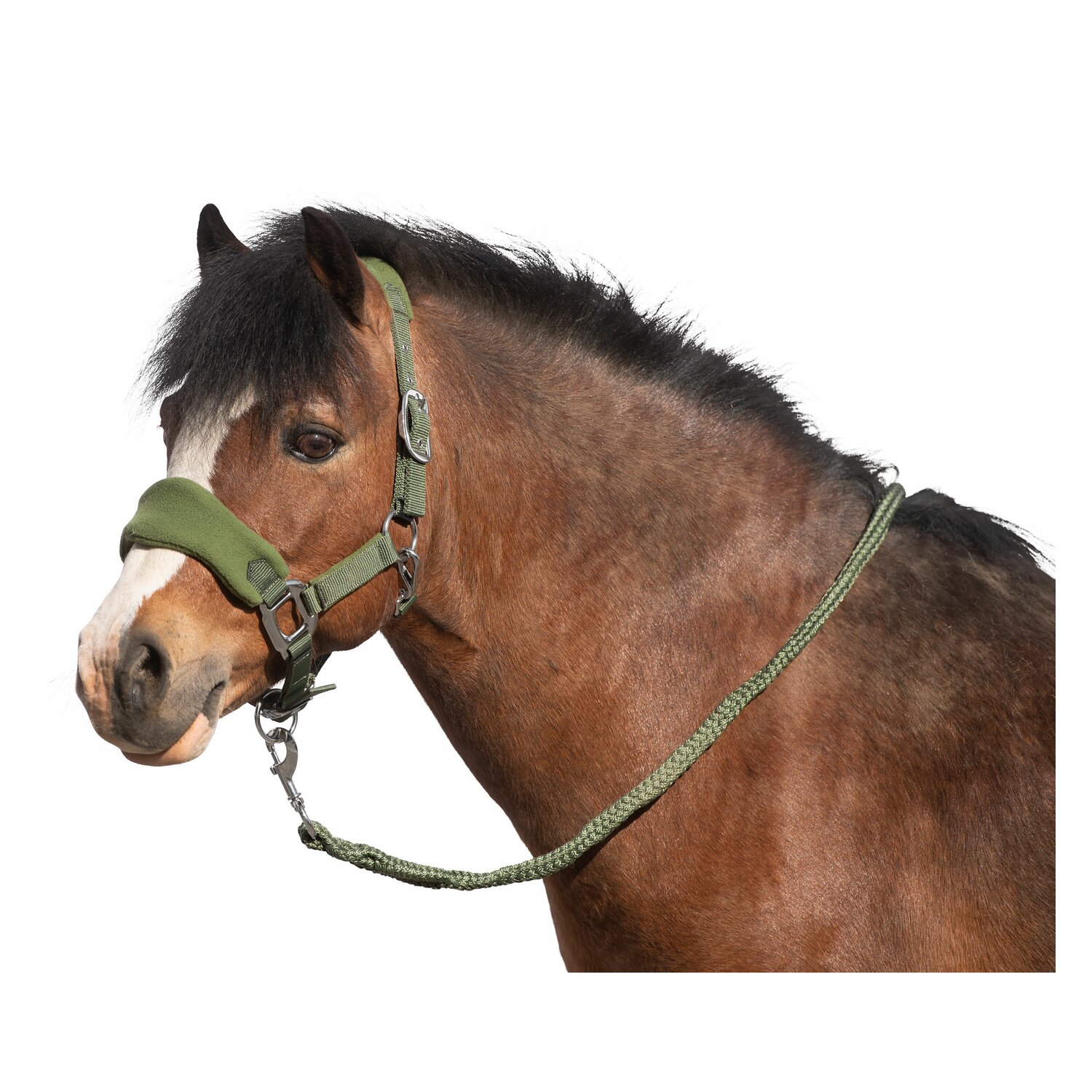 Horse-friends Halfter-Set Rouen  - olive