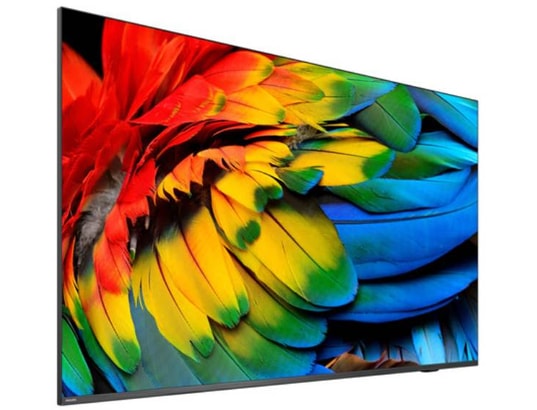 PHILIPS - TV LED 4K 126 cm 50HFL6214U/12