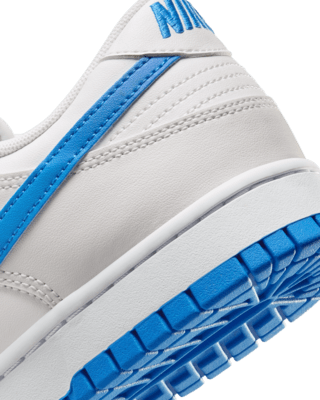 Nike Dunk Low Retro Men's Shoes