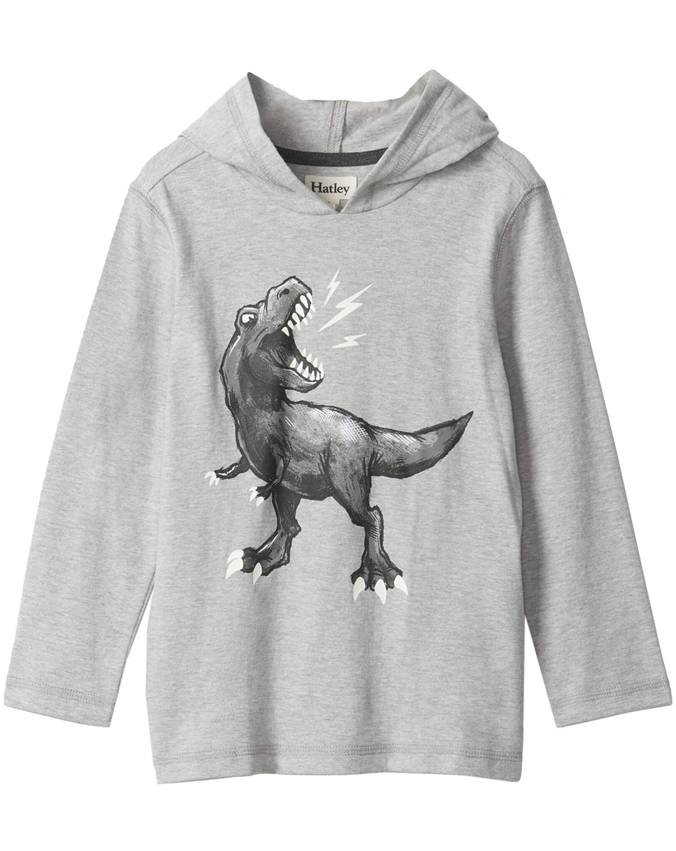 Kapuzen-Sweatshirt DINO in grau
