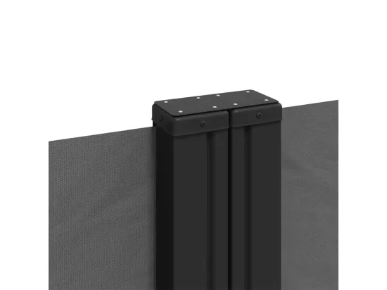 Auvent latéral rétractable anthracite 220x1000 cm