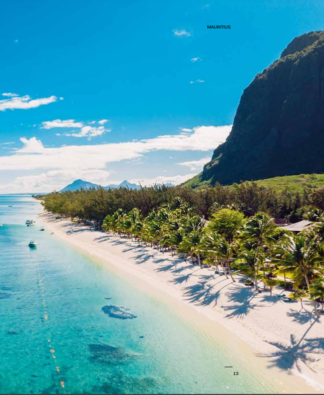 Palm Tree Destinations