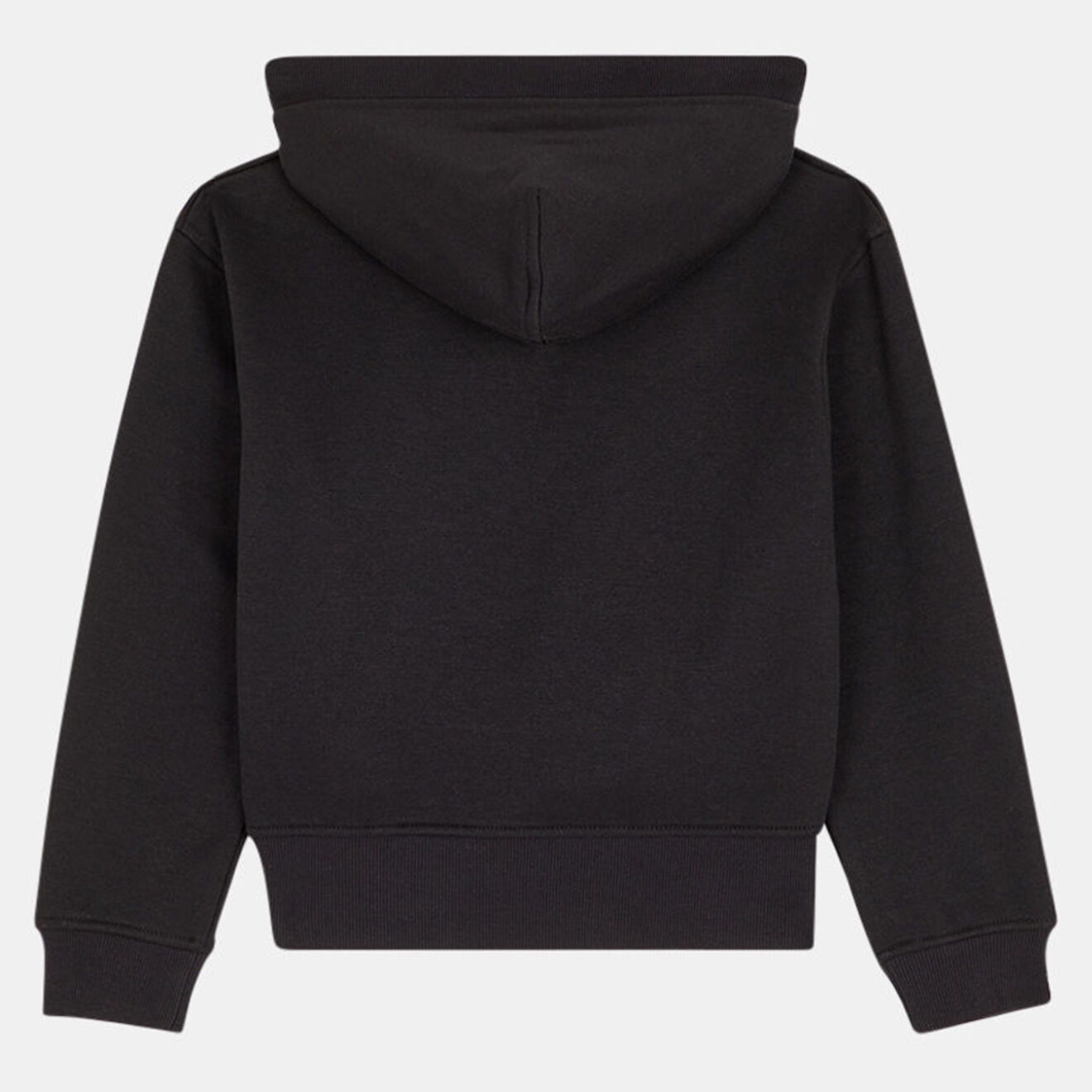 Tommy Hilfiger Sweat en matière recyclée à Capuche Logo coloré noir
