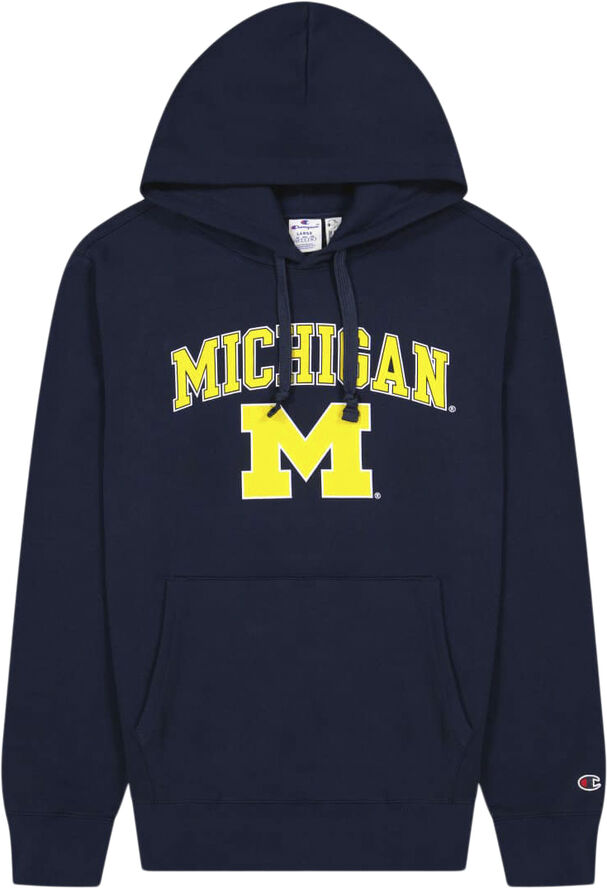 Champion hooded sweatshirt Blue
