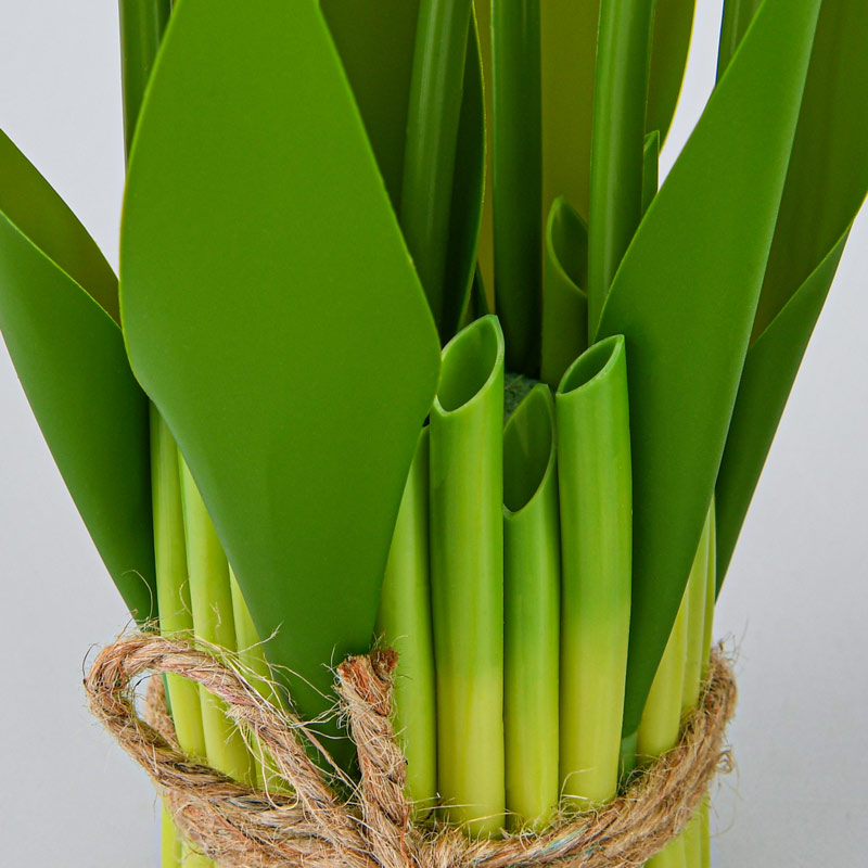 Composition de tulipes à poser