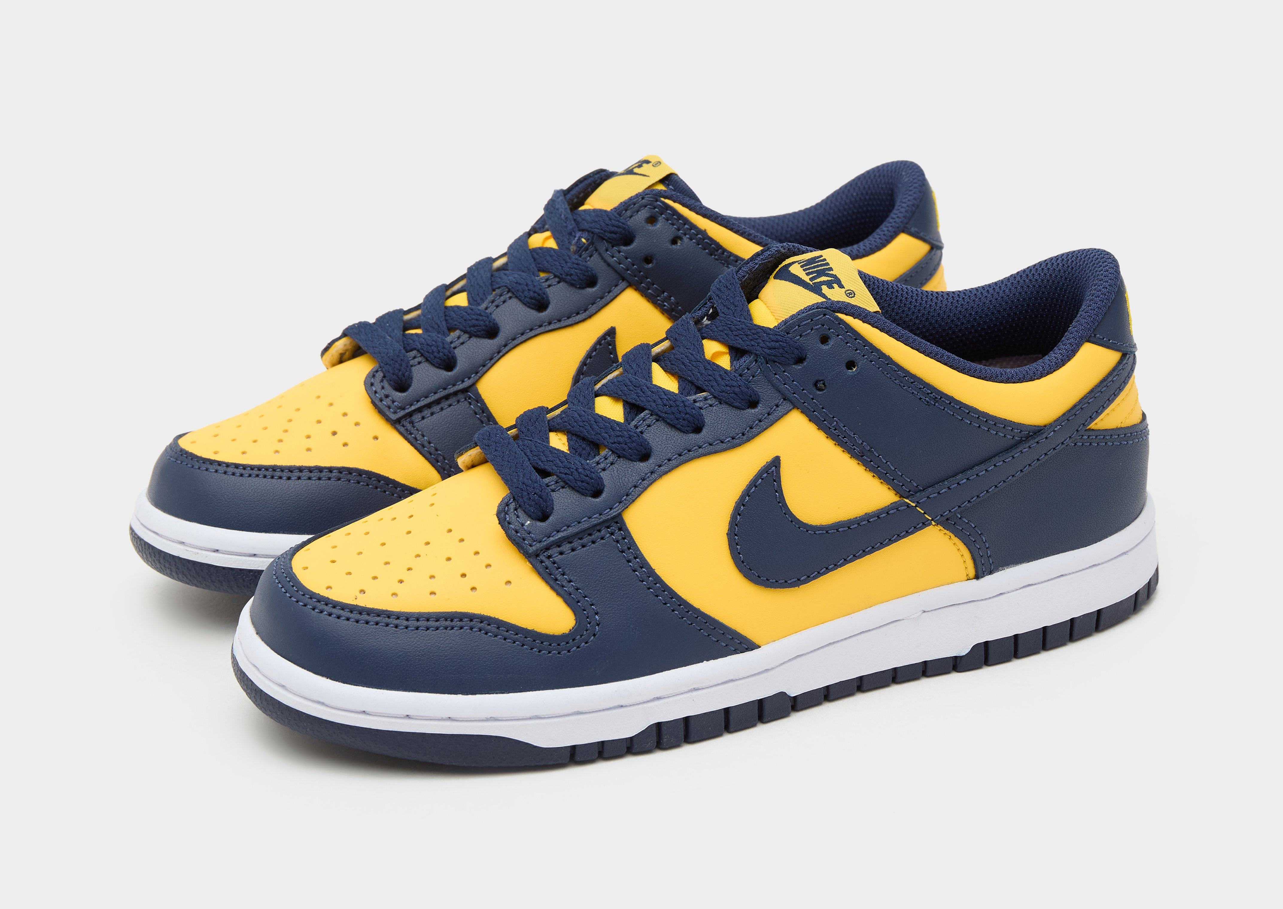 Nike Dunk Low Junior