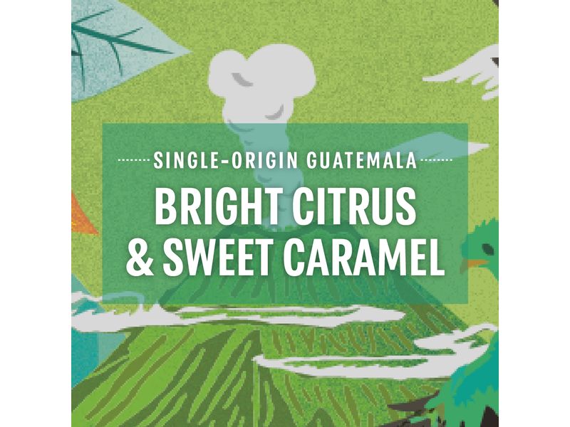 Starbucks Kaffeekapseln Guatemala 10 Stück Kaffeekapseln für Nespresso-Maschinen