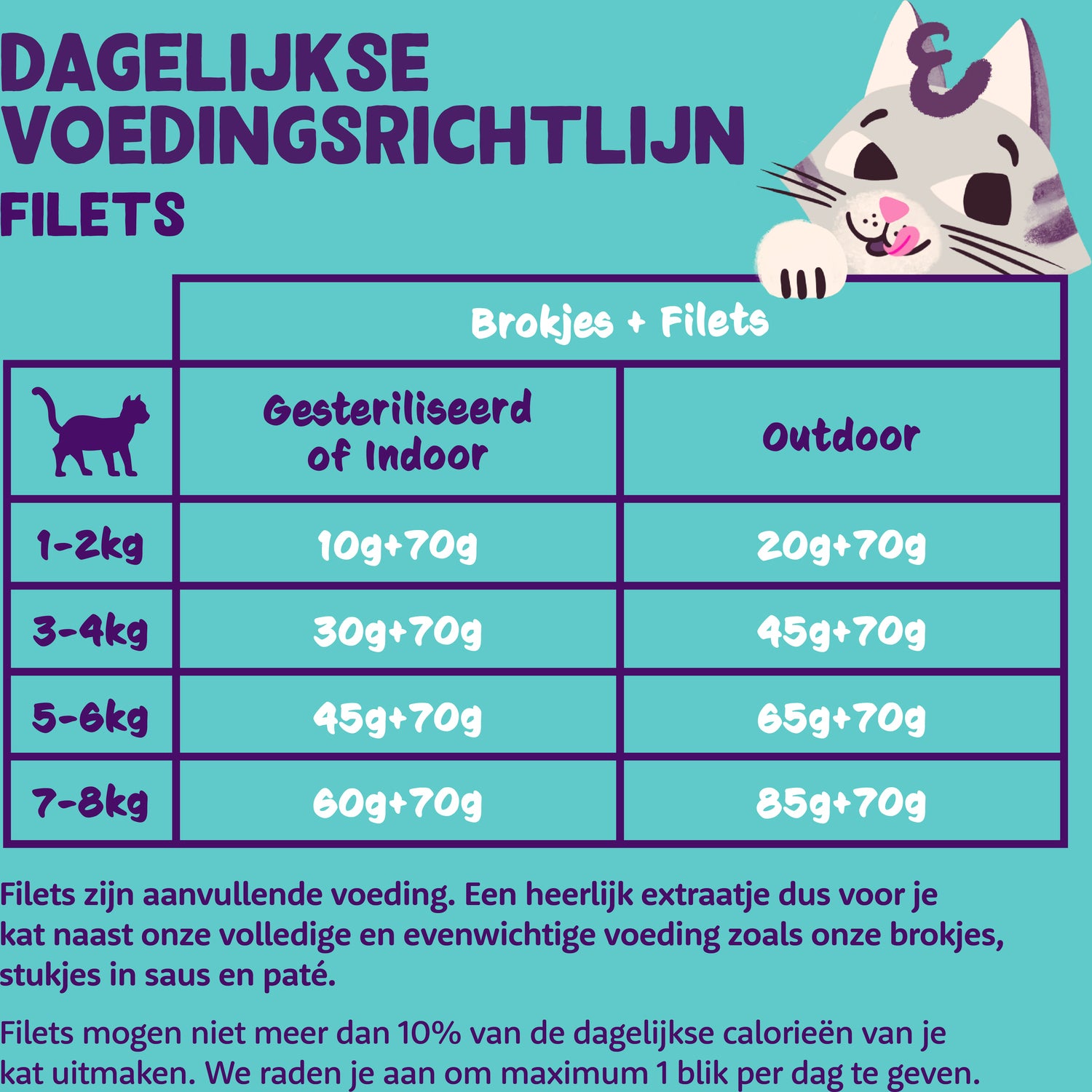 Edgard & Cooper kattenvoer fillets tonijn/garnaal 70 g