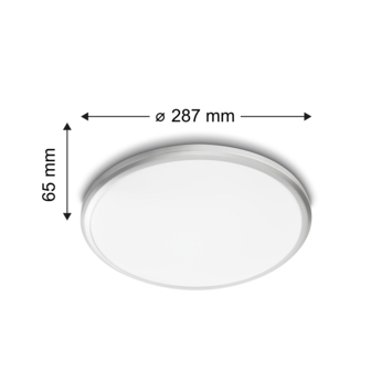 Philips LED plafondlamp Spray 12W 2700K