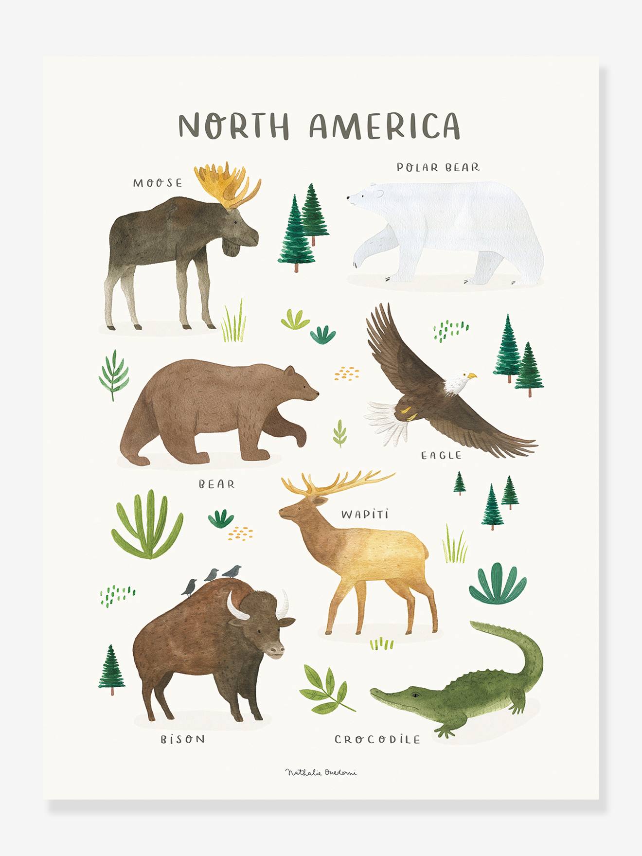 Estampa de animais norte-americanos Lilydale Brown Lilypin