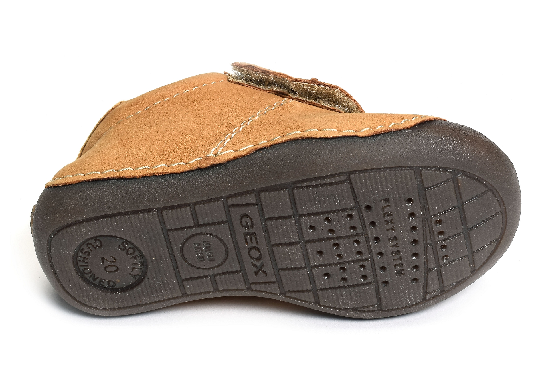 B tutim ba camel