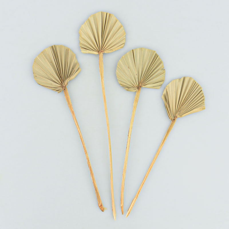 Lot de 4 tiges palmes rondes
