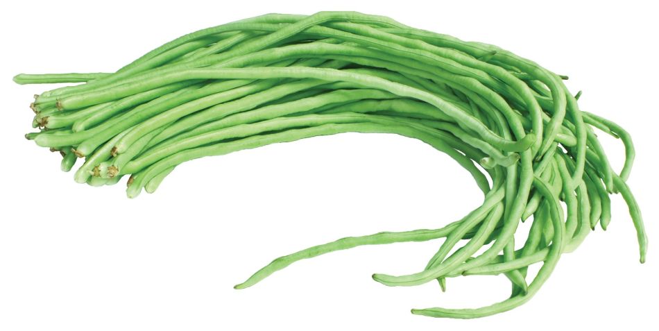 Dagverse Kousenband 500g