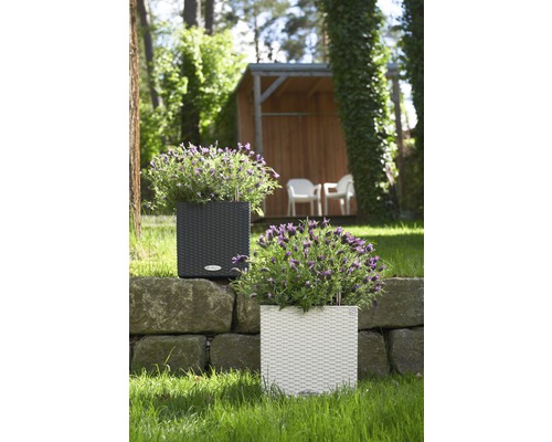 Lechuza Cube Cottage plantenbak, kunststof, 30x30x30 cm, granieten afwerking, inclusief zelfbewateringssysteem en waterniveau-indicator.