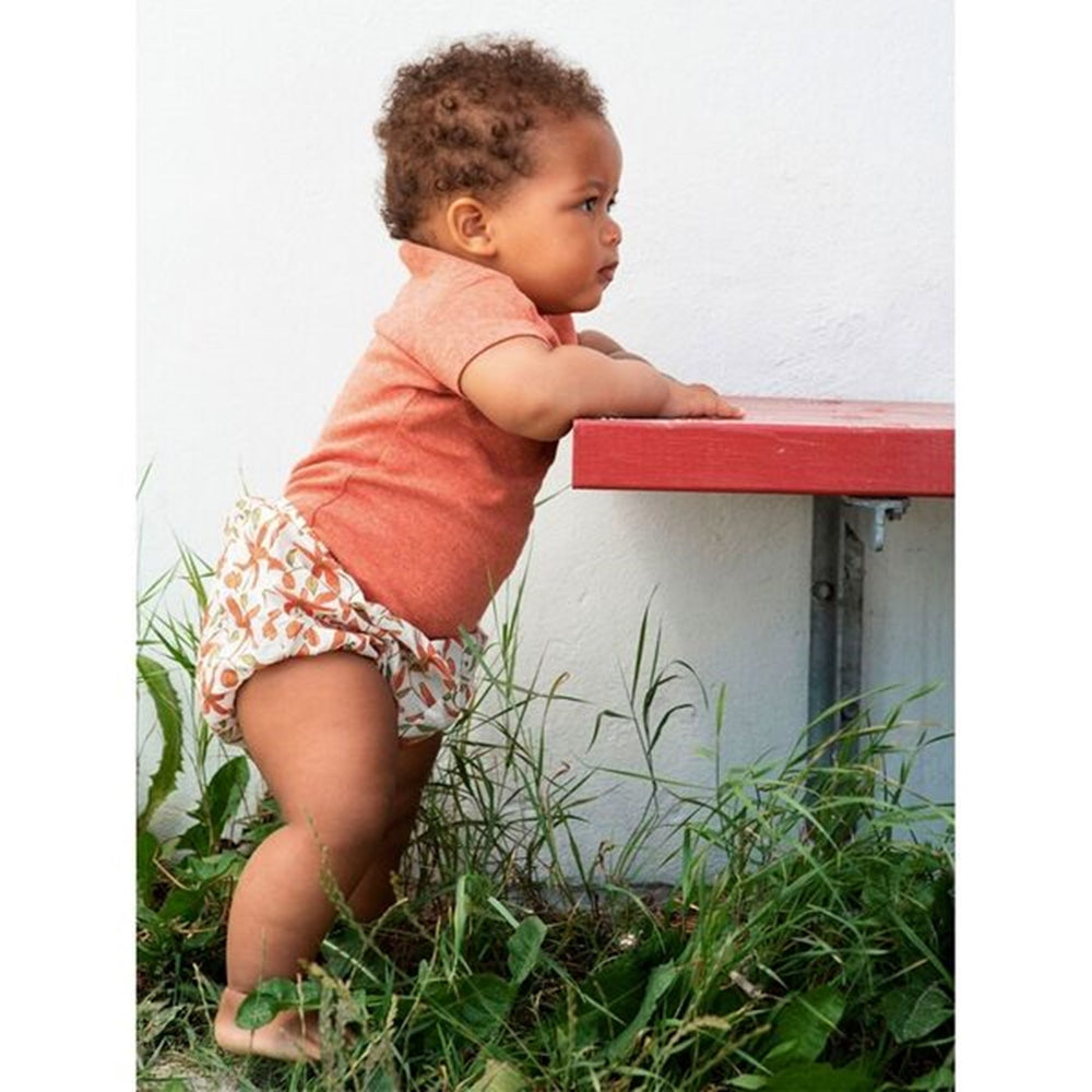 Clematis Baby Bloomers - Serendipity → Luksusbaby.dk