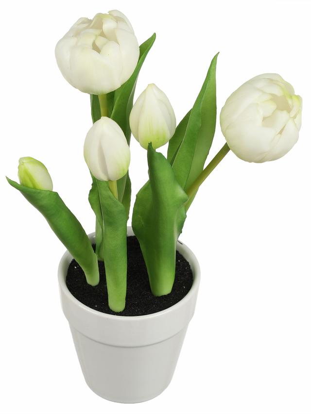 5 Tulpen im Keramiktopf, 2er Set