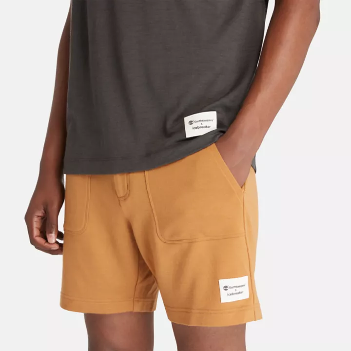 T-shirt Timberland x Icebreaker ZoneKnit en maille de laine mérinos pour homme en gris foncé